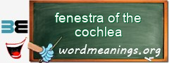 WordMeaning blackboard for fenestra of the cochlea